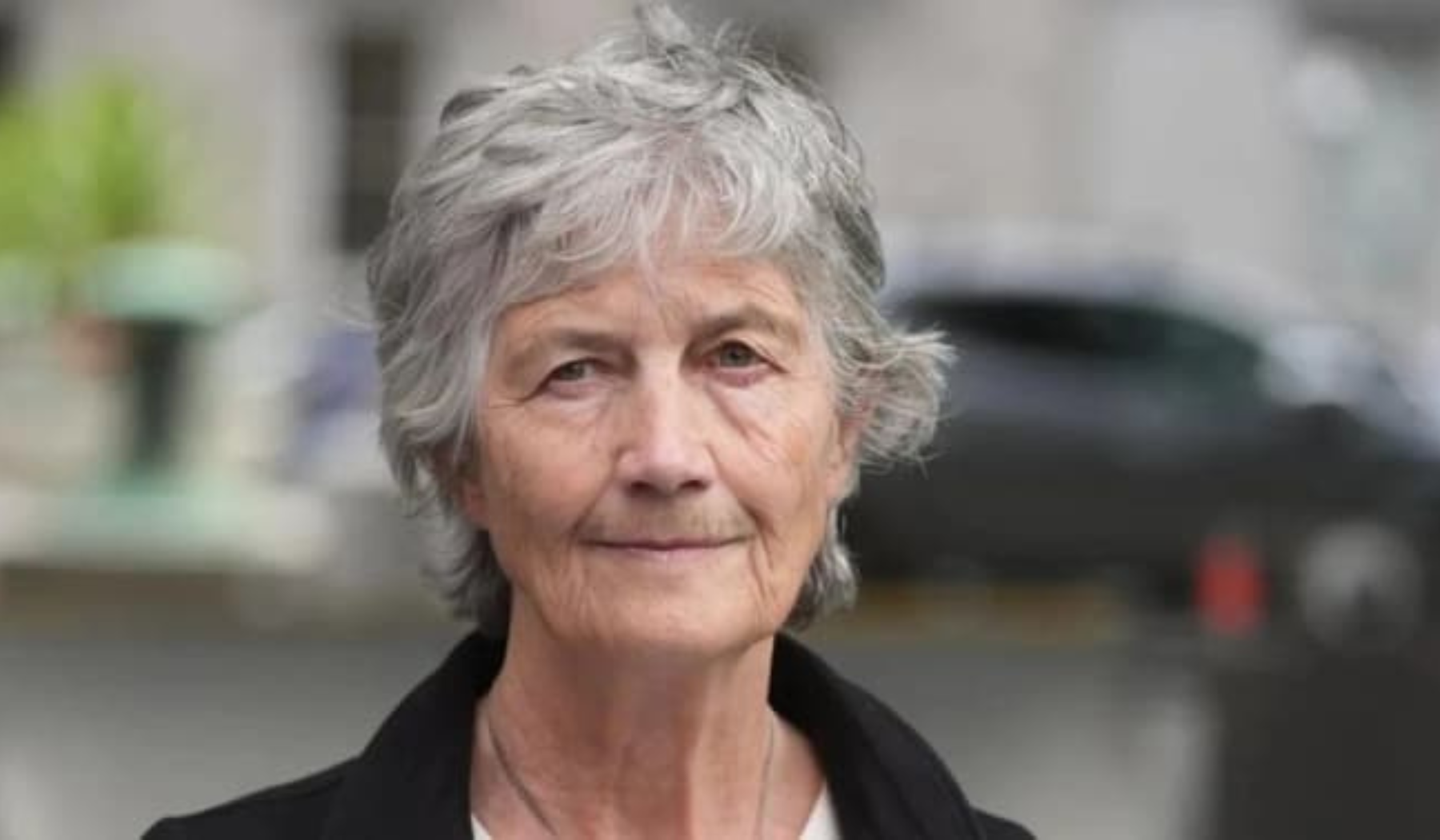 Veteran Left-Winger Wins Irish Presidency in Landslide